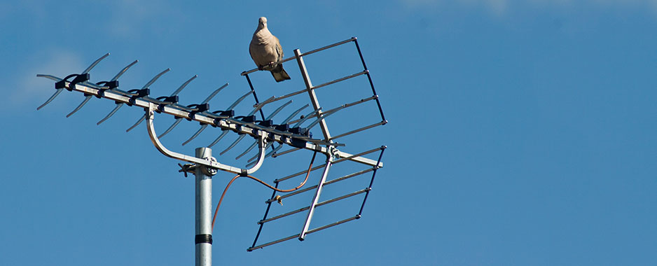 Broadcasters battle over future of TV