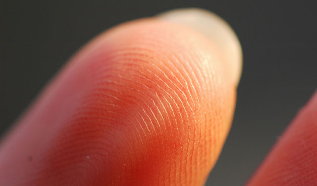 fingerprint-640