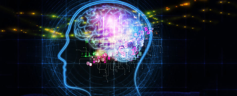 Gold at the end of the Brainbow