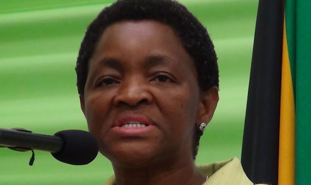 Social services minister Bathabile Dlamini