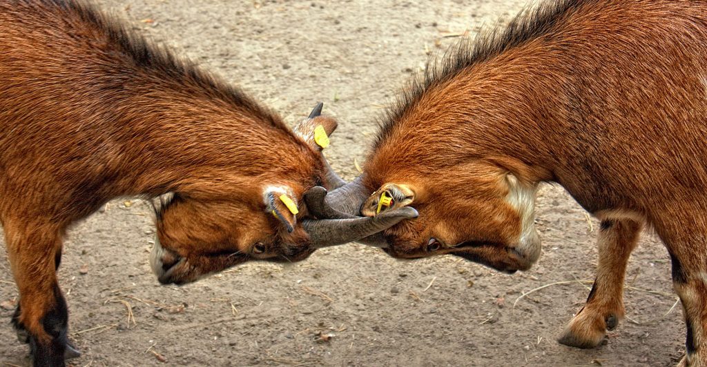 Vodacom not in breach over ‘best network’ claims