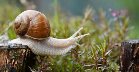 Post Office warns of big delays due to lockdown