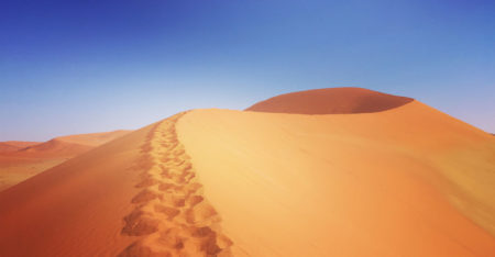 Namibia to partly privatise leading mobile operator MTC in listing