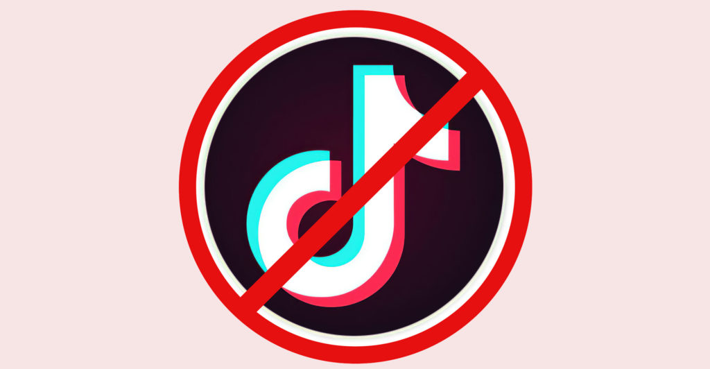 Banning TikTok could weaken personal cybersecurity