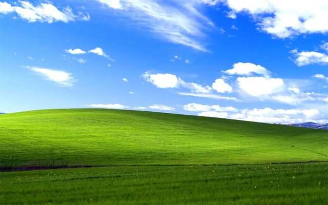Windows XP's default wallpaper, Bliss, is a photo of the Los Carneros American Viticultural Area of Sonoma County, California