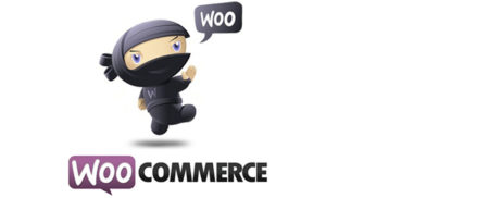WordPress acquires SA’s WooCommerce