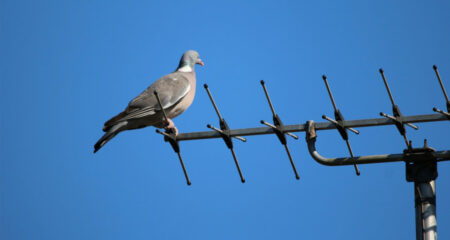 The inconvenient truth about SA’s analogue TV switch-off