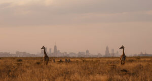 Vodacom takes the reins at Safaricom