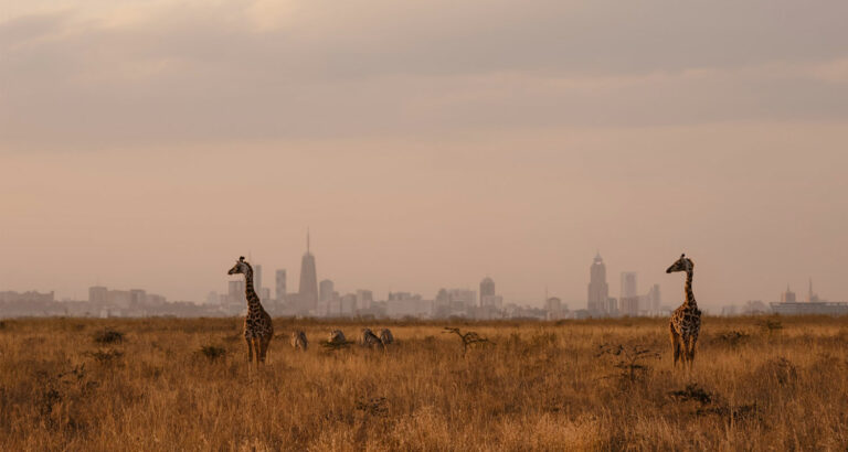 Vodacom takes the reins at Safaricom