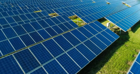 Scale of SA’s green energy goal: 166 million solar panels