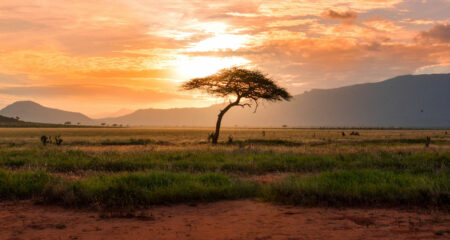 OVEX is hiring – are you on board?