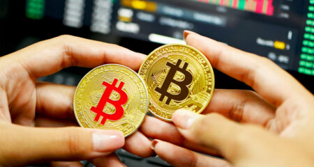 One in 10 South Africans owns crypto One in 10 South Africans owns crypto