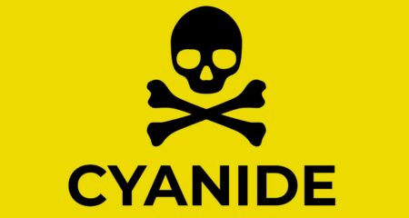 De Ruyter ‘poisoning’: what is cyanide and why is it so dangerous?