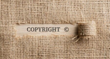 Showdown over copyright bill at constitutional court Showdown over copyright bill at constitutional court