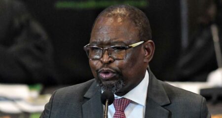 Big boost for science, maths education in schools - Enoch Godongwana