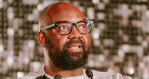 Chinese car makers flood South Africa while factories lag - Mikel Mabasa