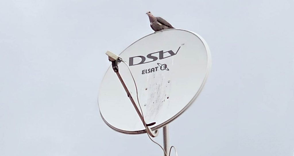 MultiChoice posts 99% slump in interim profit