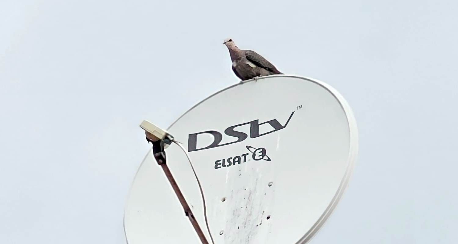 MultiChoice warns of grim full-year results