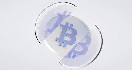 Navigating the bitcoin halving – the road map to $150 000 Navigating the bitcoin halving - the road map to $150 000