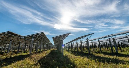 Political parties share their views on renewable energy