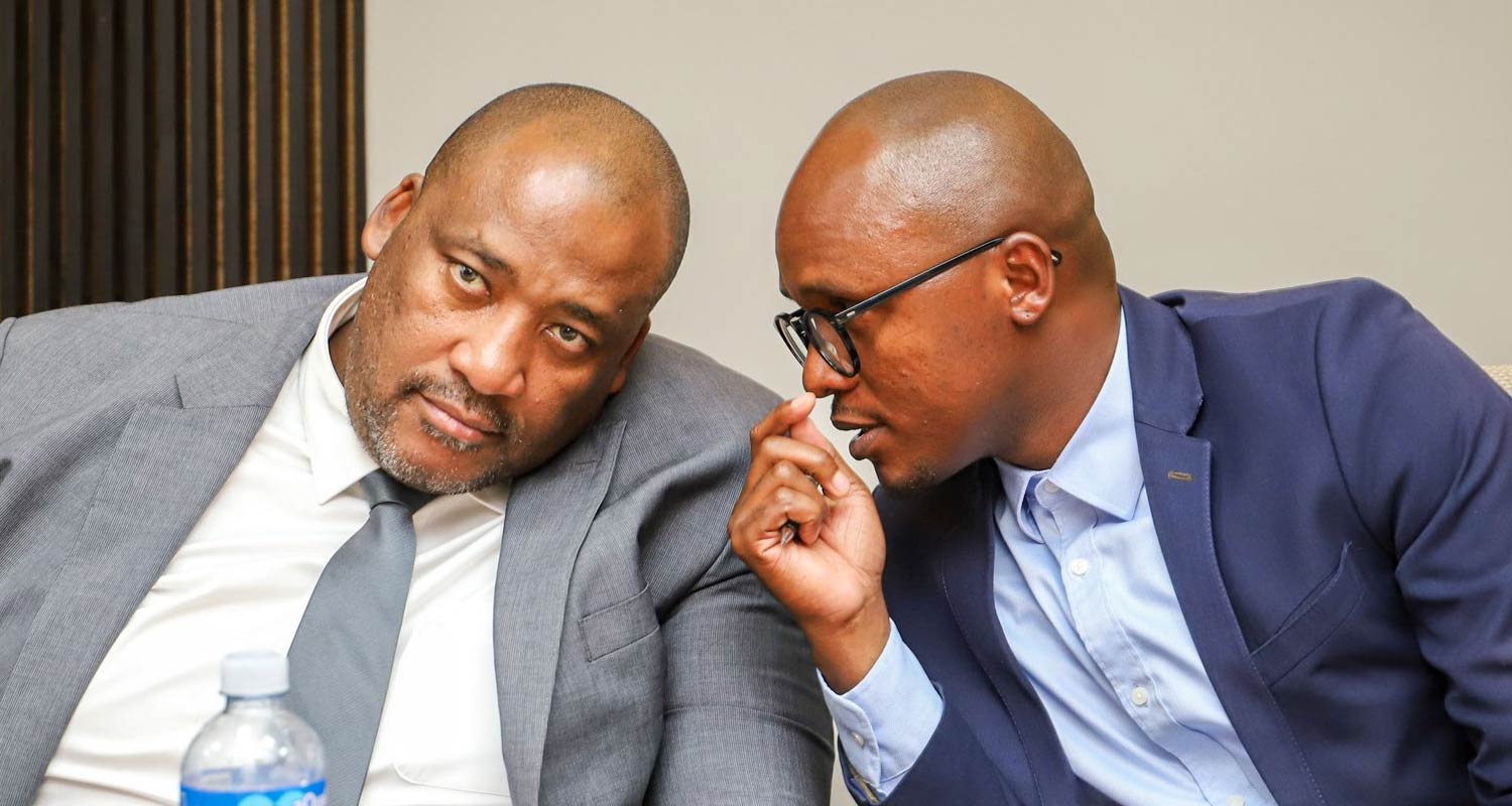 Ministers step into broadcasters' sports battle - Gayton McKenzie and Solly Malatsi