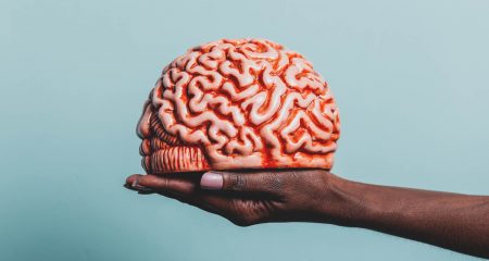 New study pinpoints brain region where consciousness may arise Scientists explore where consciousness arises in the brain