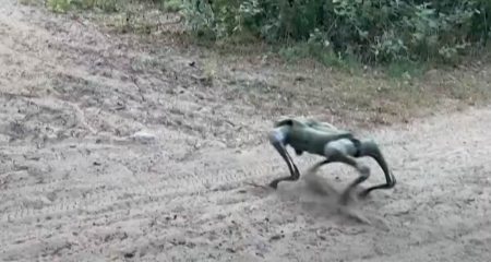 Bookmarks | Ukraine to unleash robot dogs on its front lines