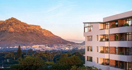 Why The Signal is turning heads in Cape Town