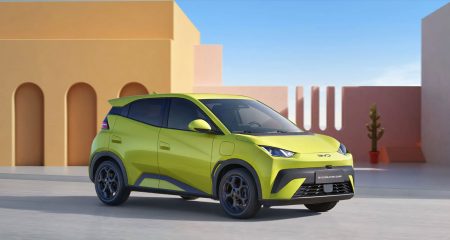 Eskom and BYD to work together on South African EV charging network - BYD Dolphin Surf