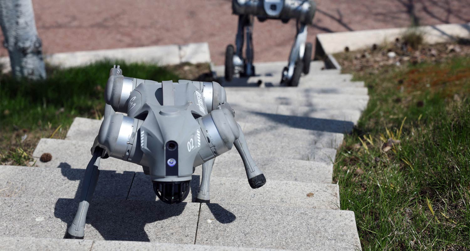 Unitree robot dogs climb a flight of stairs during a demonstration at a park in Hangzhou, Zhejiang province, China. Florence Lo/Reuters
