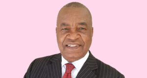 Revolut hires heavy hitter as it readies its South African launch Revolut hires heavy hitter as it readies its South African launch - Gaby Magomola