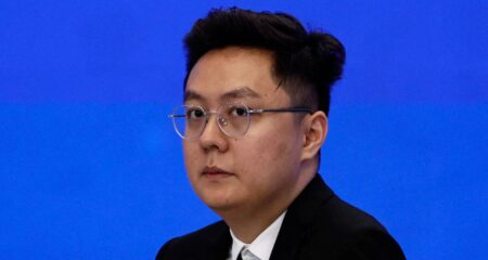 China’s DeepSeek warns of social upheaval from AI DeepSeek warns of social upheaval from AI - Chen Deli