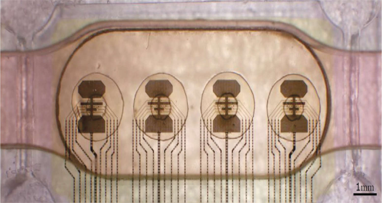 FinalSpark's “mini brains” connected to living tissue