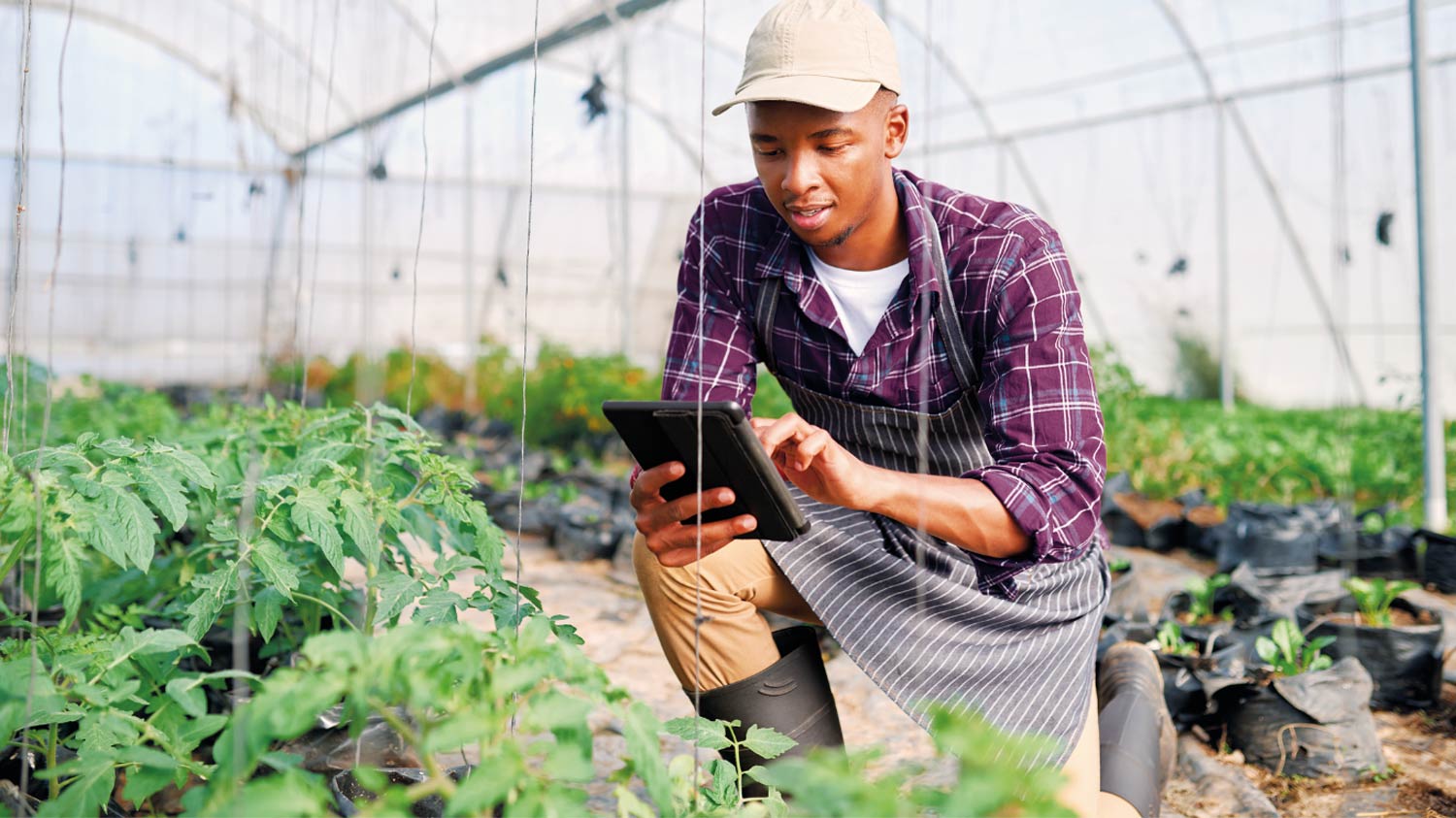 Cell C Business SMEs