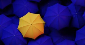 Breaking silos with SAS: Agile insurance in an uncertain world