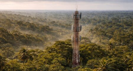 Rowboats and solar panels: the reality of connecting rural Africa