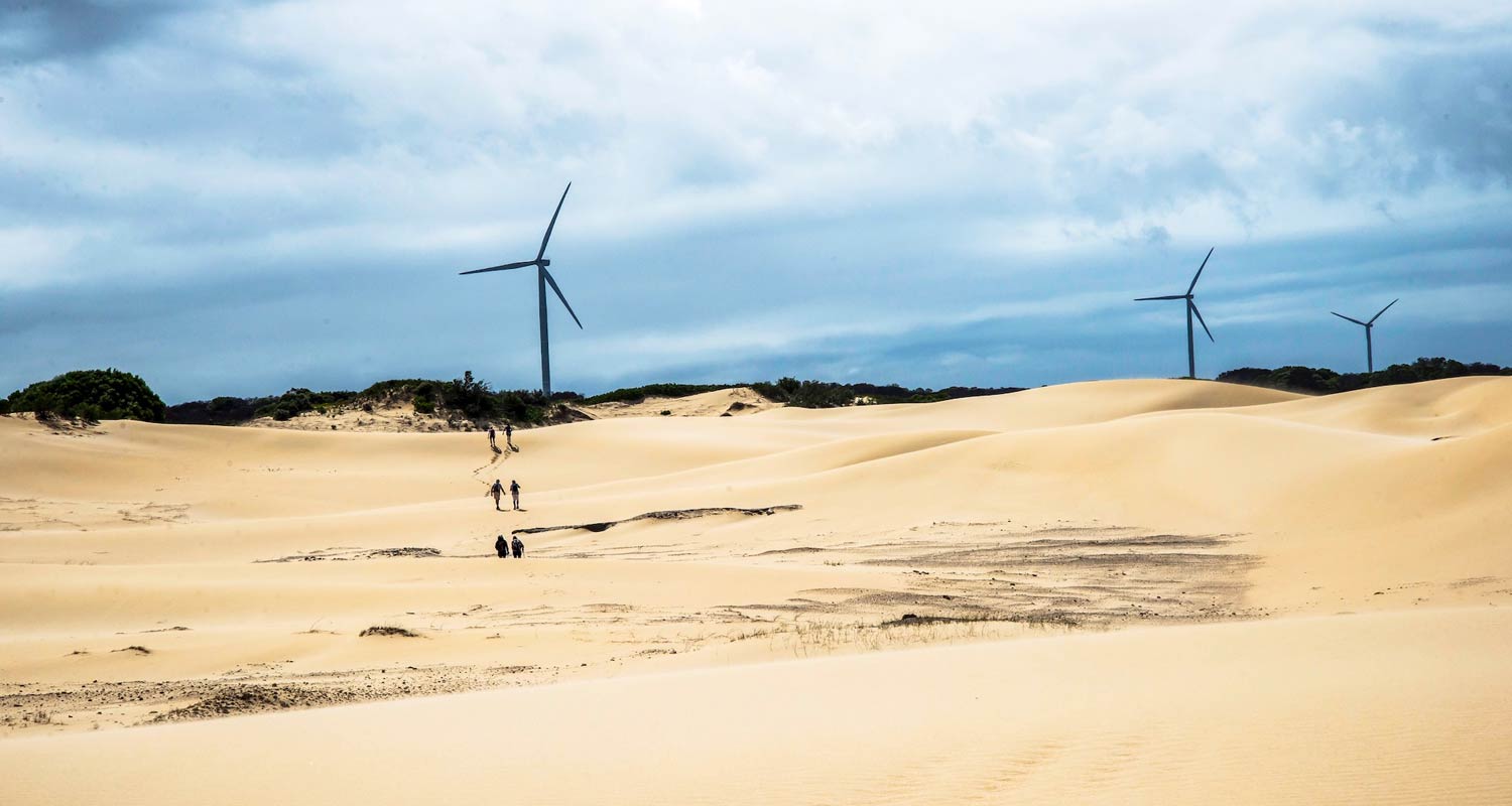 Rapid wind farm development just beyond the boundaries of Eskom’s consolidated Thyspunt properties has already created a large network of new powerlines. Photo: John Yeld