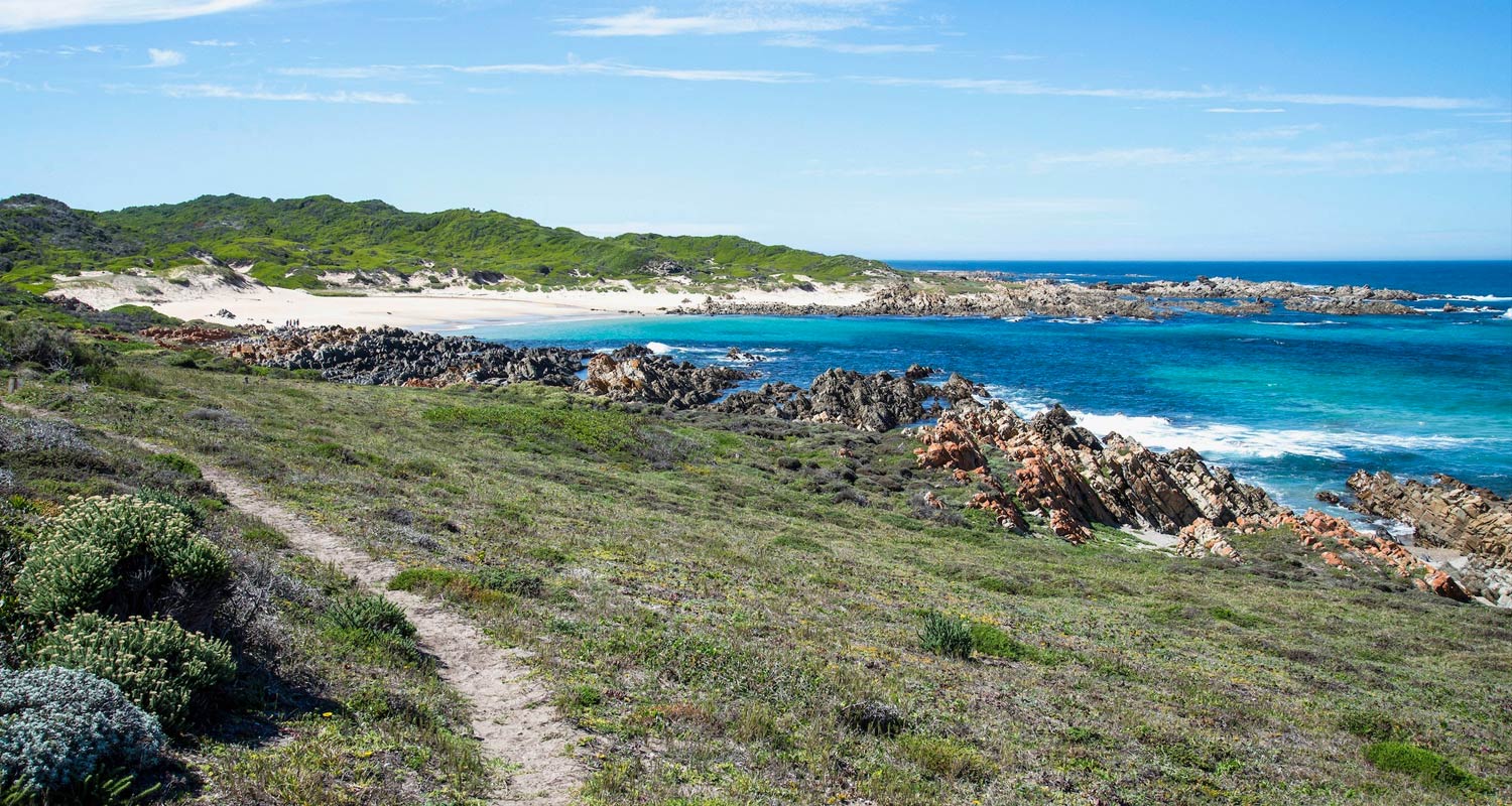 The Thyspunt area of the Eastern Cape coastline that is proposed for a new nuclear power plant. Image: John Yeld