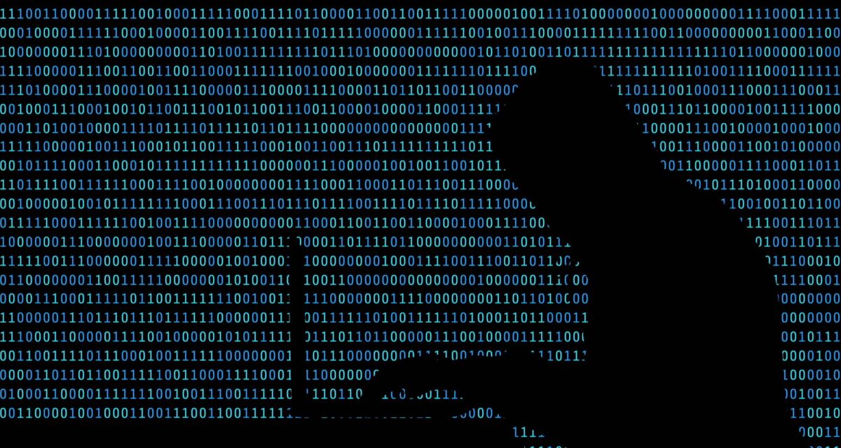 DDoS attacks expose South Africa's cyber response gap