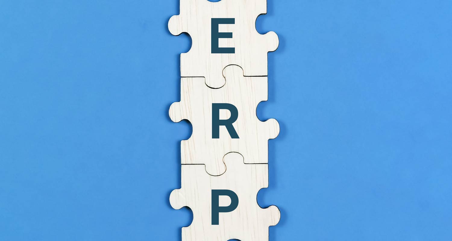 ERP software