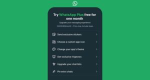 WhatsApp starts charging South Africans - for the extras