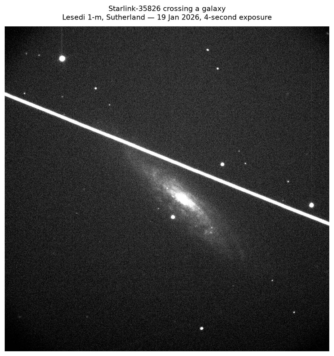 A Starlink satellite, catalogued as Starlink-35826, cuts a bright trail across a Lesedi frame at Sutherland in a four-second exposure on 19 January 2026. This time the supernova being observed in the galaxy below lay clear of the streak, so the science survived. Credit: SAAO