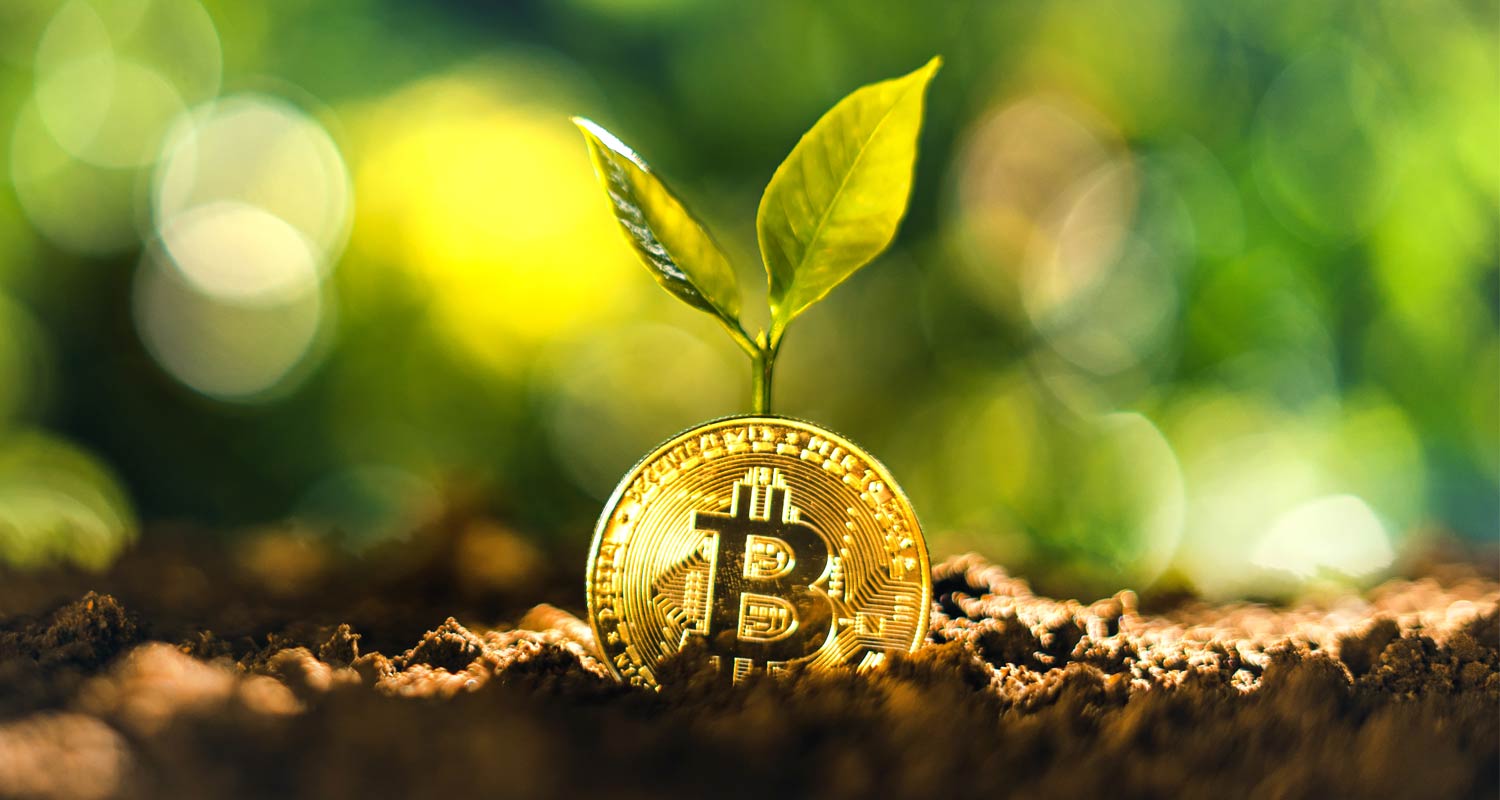 Remember when bitcoin was killing the planet?