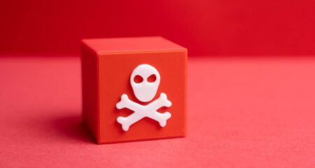 Should South Africa ban ransomware payments?